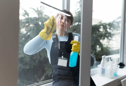 Nettoyage de vitres intérieures et extérieures à Baulon